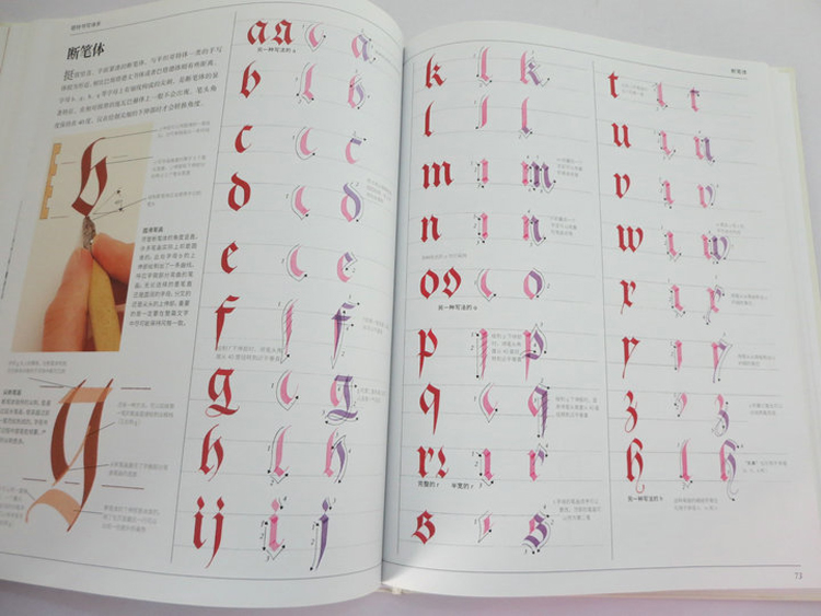 El arte de la caligrafía David - Chinese Calligraphy Practice Book reseña y precio