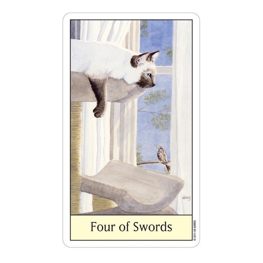 Tarot ojo de gato 12x7 cm Jueg - Tarot Deck With Guidebook reseña y precio