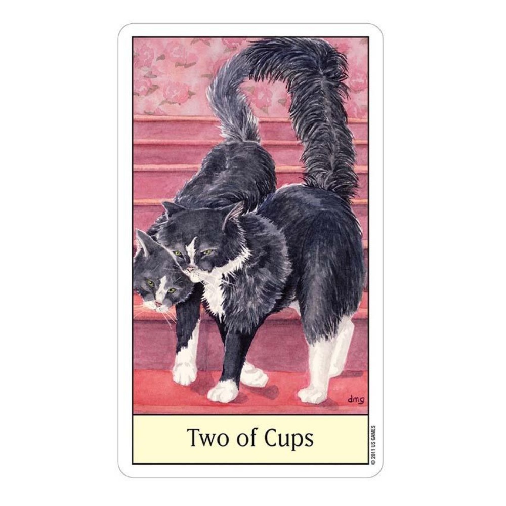 Tarot ojo de gato 12x7 cm Jueg - Tarot Deck With Guidebook reseña y precio